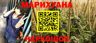 шишки Кандалакша