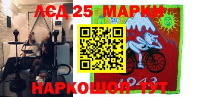 шишки Кандалакша
