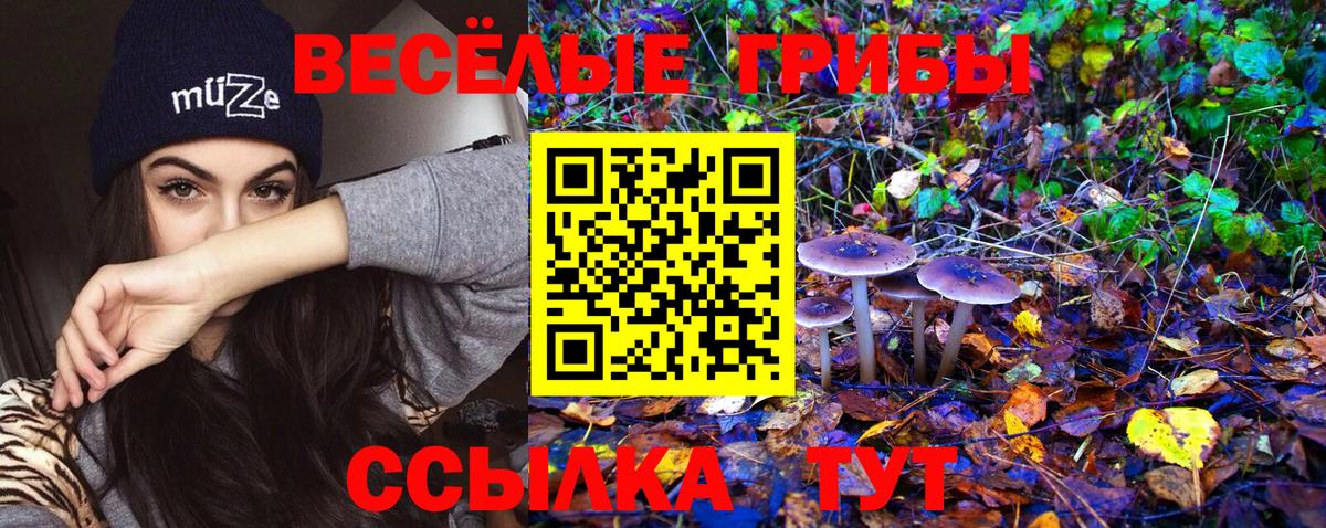 Псилоцибиновые грибы мухоморы  Галлюциногенные грибы Psilocybe  Вход с VPN  Кушва 