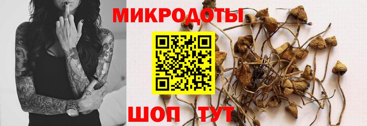 Галлюциногенные грибы Magic Shrooms Кушва